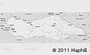 Silver Style Panoramic Map of Punia