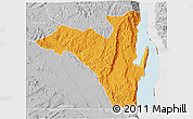 Political 3D Map of Fizi, lighten, desaturated