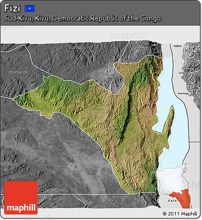 Satellite 3D Map of Fizi, desaturated