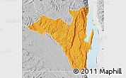 Political Map of Fizi, lighten, desaturated