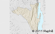 Shaded Relief Map of Fizi, lighten, desaturated