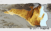 Physical Panoramic Map of Fizi, darken, semi-desaturated