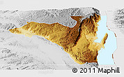 Physical Panoramic Map of Fizi, lighten, desaturated