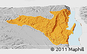 Political Panoramic Map of Fizi, lighten, desaturated
