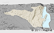 Shaded Relief Panoramic Map of Fizi, darken, desaturated