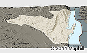 Shaded Relief Panoramic Map of Fizi, darken