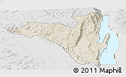 Shaded Relief Panoramic Map of Fizi, lighten, desaturated