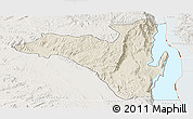 Shaded Relief Panoramic Map of Fizi, lighten