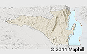 Shaded Relief Panoramic Map of Fizi, lighten, semi-desaturated