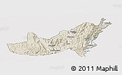 Shaded Relief Panoramic Map of Kalehe, single color outside