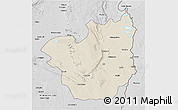 Shaded Relief 3D Map of Kasenga, desaturated