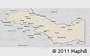 Shaded Relief Panoramic Map of Sakania, desaturated