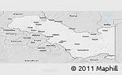 Silver Style Panoramic Map of Sakania