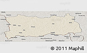 Shaded Relief Panoramic Map of Dilolo, semi-desaturated