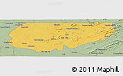 Savanna Style Panoramic Map of Kongolo