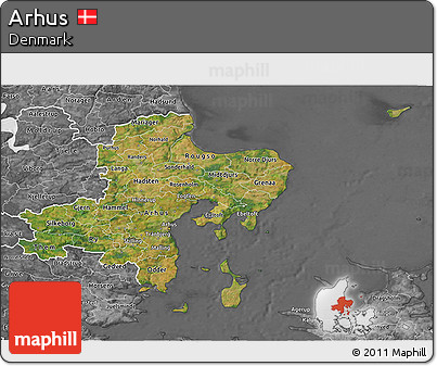 Satellite 3D Map of Arhus, desaturated