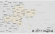 Shaded Relief 3D Map of Arhus, desaturated