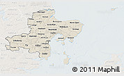 Shaded Relief 3D Map of Arhus, lighten