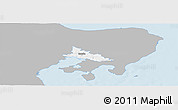 Gray Panoramic Map of Ronde, single color outside