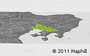 Physical Panoramic Map of Ronde, desaturated