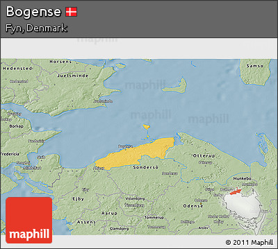 Savanna Style 3D Map of Bogense