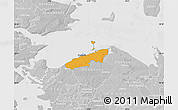 Political Map of Bogense, lighten, desaturated