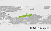 Physical Panoramic Map of Bogense, lighten, desaturated