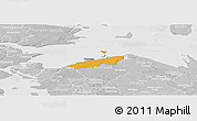 Political Panoramic Map of Bogense, lighten, desaturated