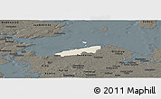 Shaded Relief Panoramic Map of Bogense, darken