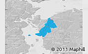 Political Map of Ejby, lighten, desaturated