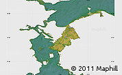 Satellite Map of Ejby, single color outside