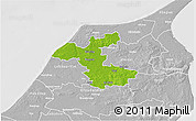 Physical 3D Map of Hjorring, lighten, desaturated