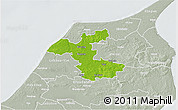 Physical 3D Map of Hjorring, lighten, semi-desaturated