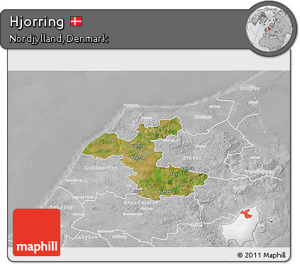 Satellite 3D Map of Hjorring, lighten, desaturated