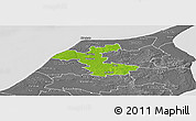 Physical Panoramic Map of Hjorring, desaturated