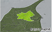 Physical 3D Map of Sindal, darken, semi-desaturated