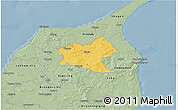 Savanna Style 3D Map of Sindal