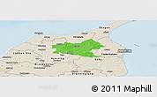 Political Panoramic Map of Sindal, shaded relief outside