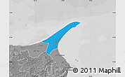 Political Map of Skagen, desaturated