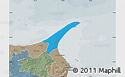 Political Map of Skagen, semi-desaturated