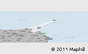 Gray Panoramic Map of Skagen