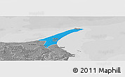 Political Panoramic Map of Skagen, desaturated