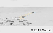 Shaded Relief Panoramic Map of Skagen, desaturated