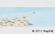 Shaded Relief Panoramic Map of Skagen