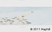Shaded Relief Panoramic Map of Skagen, semi-desaturated