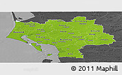 Physical Panoramic Map of Ribe, darken, desaturated