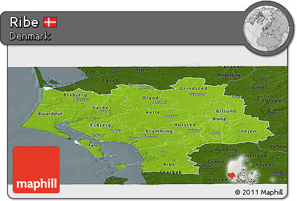 Physical Panoramic Map of Ribe, darken