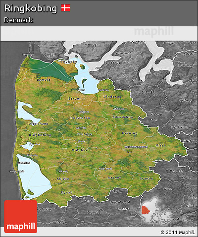 Satellite 3D Map of Ringkobing, desaturated