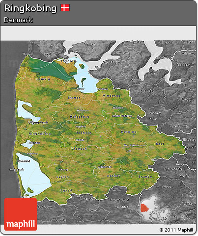 Satellite 3D Map of Ringkobing, desaturated