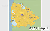 Savanna Style 3D Map of Ringkobing, single color outside